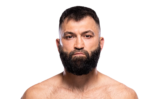 Arlovski Andrei profil ufc