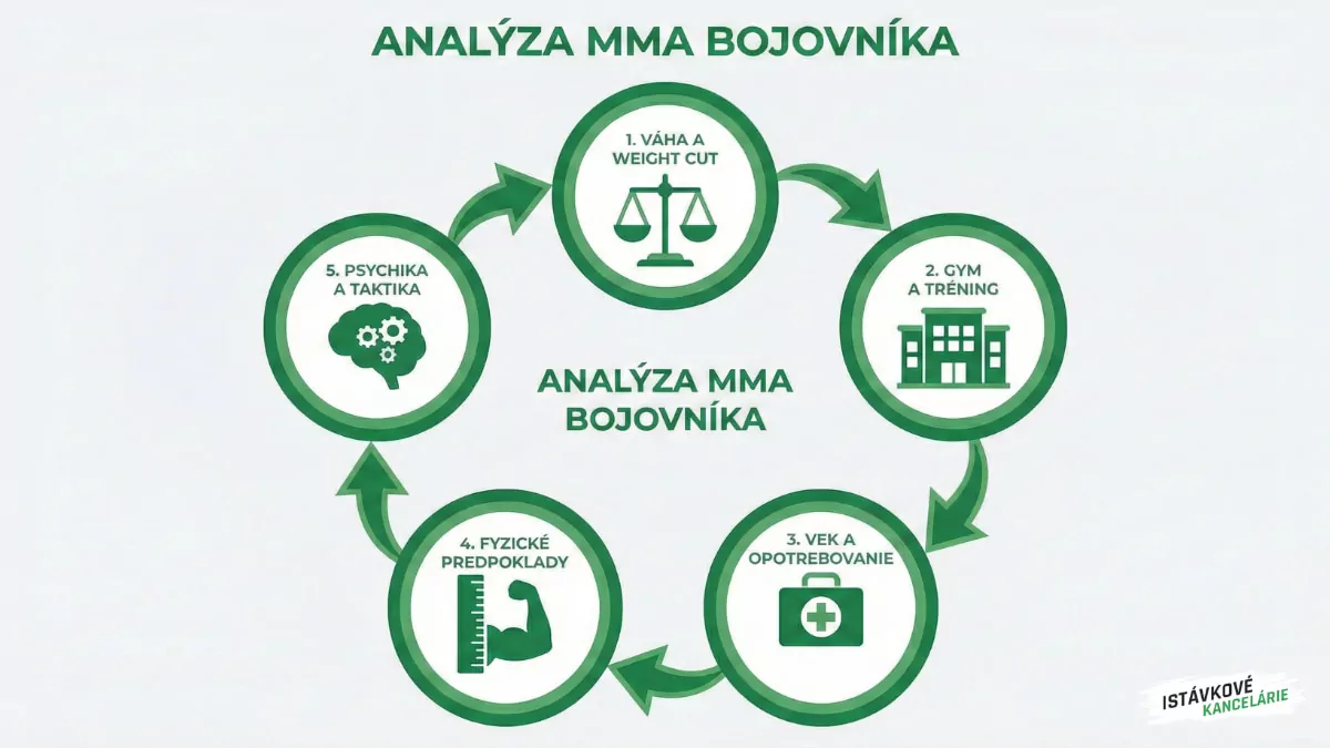 Analýza MMA bojovníka